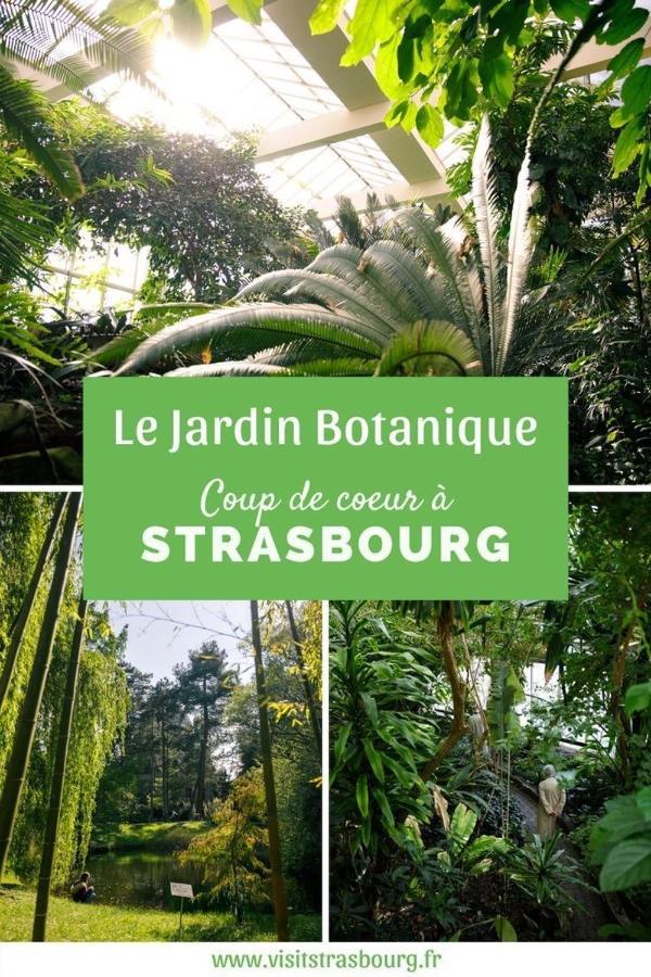 Appartement 6 Personnes Strasbourg Proche Centre Ville & Parking Exterior foto